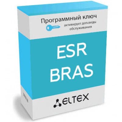 Программная лицензия Eltex ESR-BRAS