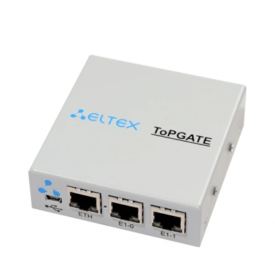 Мультиплексор Eltex ToPGATE-2E1-1F